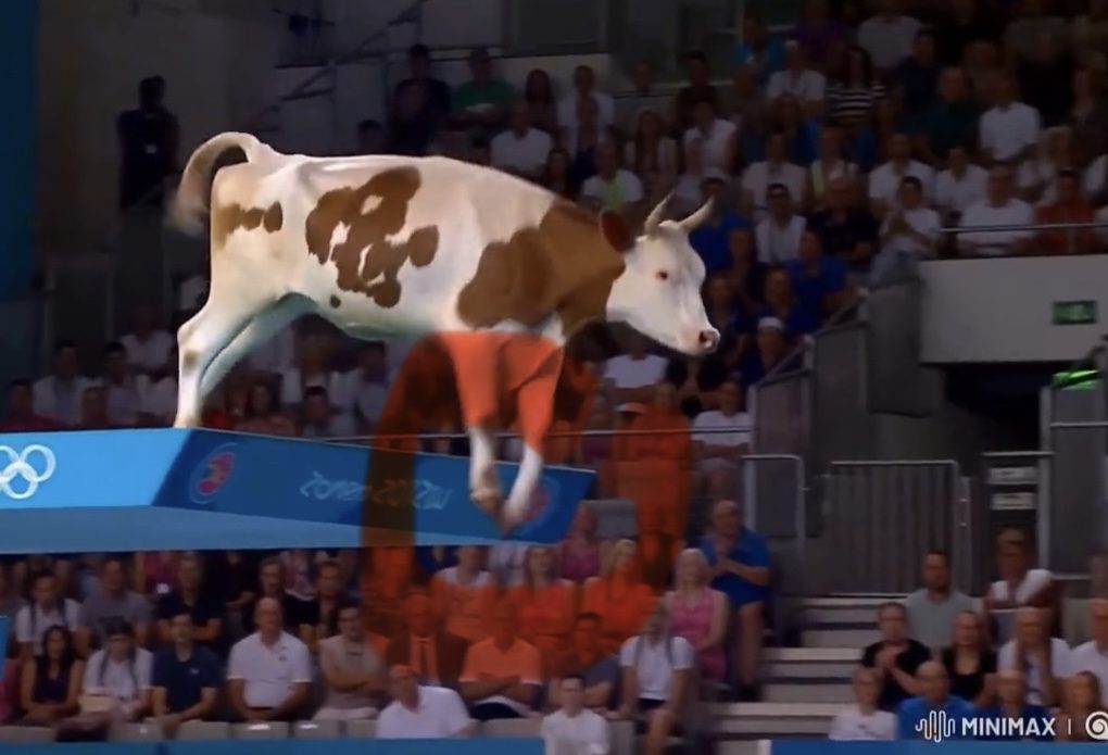 You Won’t Believe Who Took Gold at the Animal Olympics!