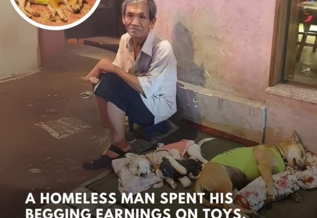 In Brazil, a homeless man used the little he earned from begging not for himself, but for his… see more