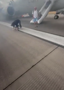 Chaos at 30,000 Feet – Kind Of: Passengers Flee Down Emergency Slide After American Airlines Flight Aborts Takeoff