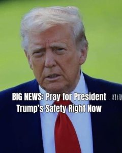 A Nation at a Crossroads: Why Newt Gingrich Urges Americans to Reflect, Recenter, and Safeguard Democratic Stability