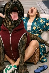 Young woman hospitalized after having…See more