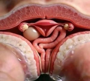 ° ° • A man who licks his wife’s loneliness is more than…See more